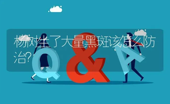 杨树生了大量黑斑该怎么防治? | 养殖问题解答