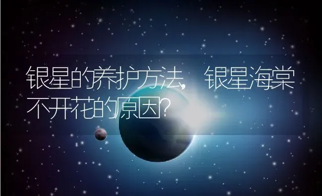 银星的养护方法,银星海棠不开花的原因？ | 养殖常见问题