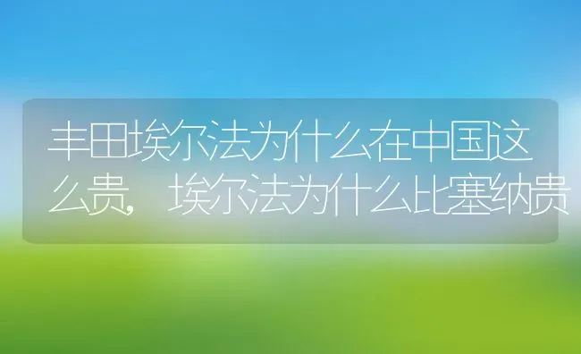 丰田埃尔法为什么在中国这么贵,埃尔法为什么比塞纳贵 | 养殖常见问题