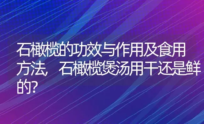 石橄榄的功效与作用及食用方法,石橄榄煲汤用干还是鲜的？ | 养殖常见问题