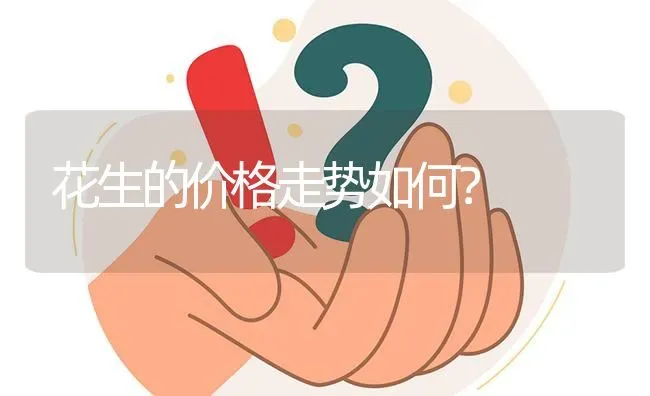 花生的价格走势如何? | 养殖问题解答