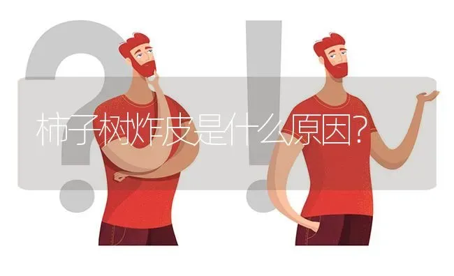 柿子树炸皮是什么原因? | 养殖问题解答