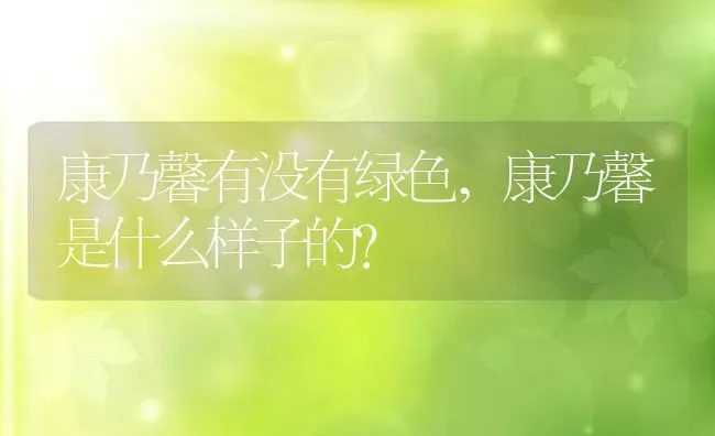 康乃馨有没有绿色,康乃馨是什么样子的？ | 养殖常见问题