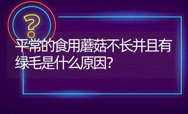 平常的食用蘑菇不长并且有绿毛是什么原因? | 养殖问题解答