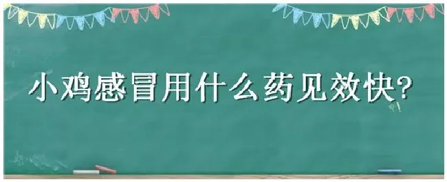 小鸡感冒用什么药见效快 | 科普知识