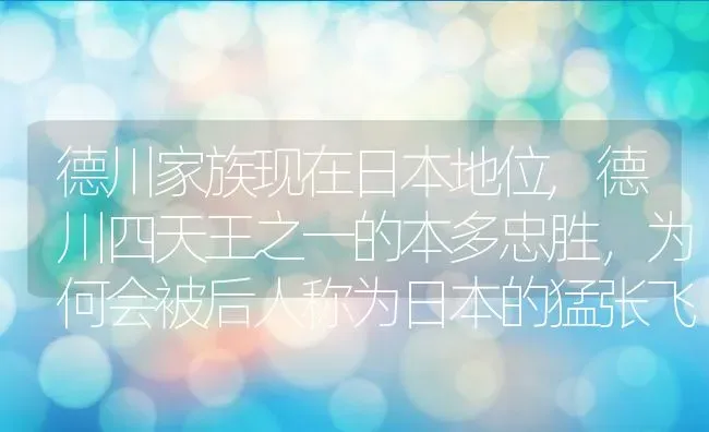 德川家族现在日本地位,德川四天王之一的本多忠胜，为何会被后人称为日本的猛张飞 | 养殖常见问题