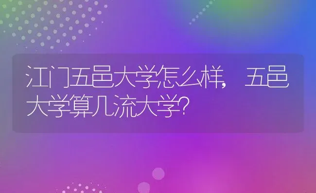 江门五邑大学怎么样,五邑大学算几流大学？ | 养殖常见问题