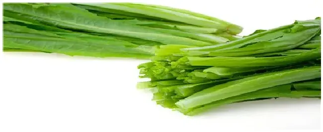油麦菜种植时间和方法 | 农业答疑