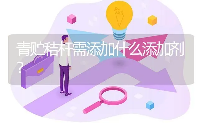 青贮秸杆需添加什么添加剂? | 养殖问题解答