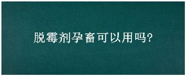 脱霉剂孕畜可以用吗? | 三农问答