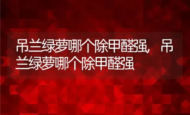 吊兰绿萝哪个除甲醛强,吊兰绿萝哪个除甲醛强 | 养殖常见问题