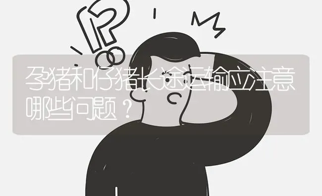 孕猪和仔猪长途运输应注意哪些问题? | 养殖问题解答