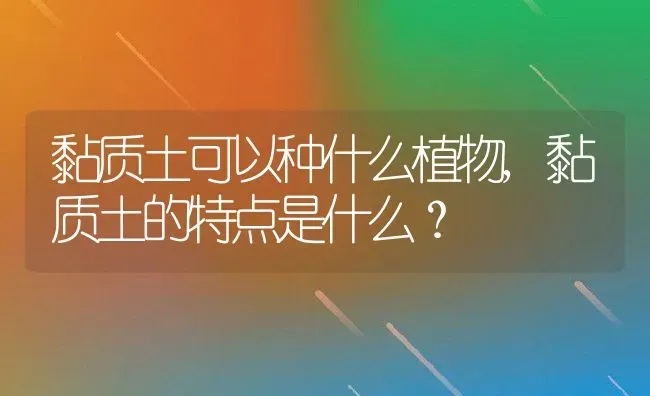 黏质土可以种什么植物,黏质土的特点是什么？ | 养殖常见问题