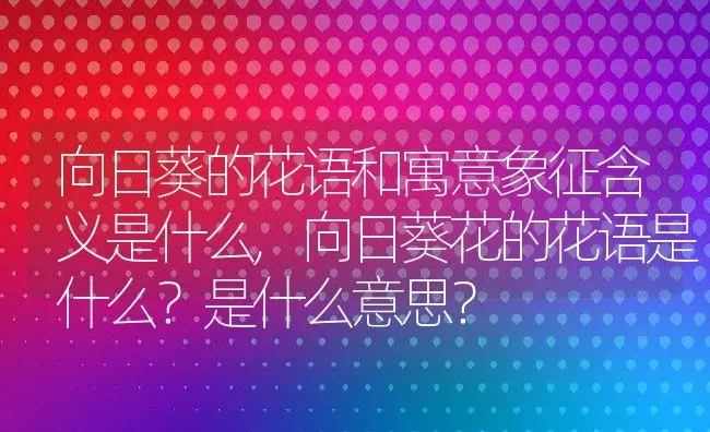 向日葵的花语和寓意象征含义是什么,向日葵花的花语是什么？是什么意思？ | 养殖常见问题