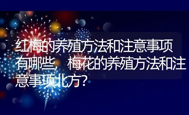 红梅的养殖方法和注意事项有哪些,梅花的养殖方法和注意事项北方？ | 养殖常见问题