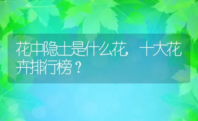 花中隐士是什么花,十大花卉排行榜？ | 养殖常见问题