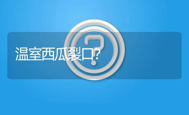 温室西瓜裂口? | 养殖问题解答