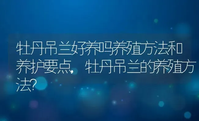 牡丹吊兰好养吗养殖方法和养护要点,牡丹吊兰的养殖方法？ | 养殖常见问题