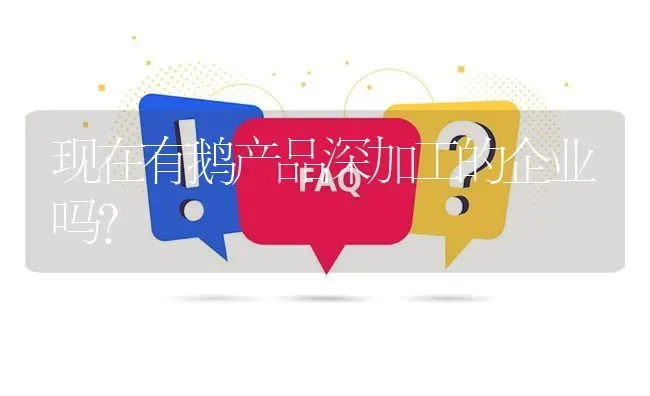 现在有鹅产品深加工的企业吗? | 养殖问题解答
