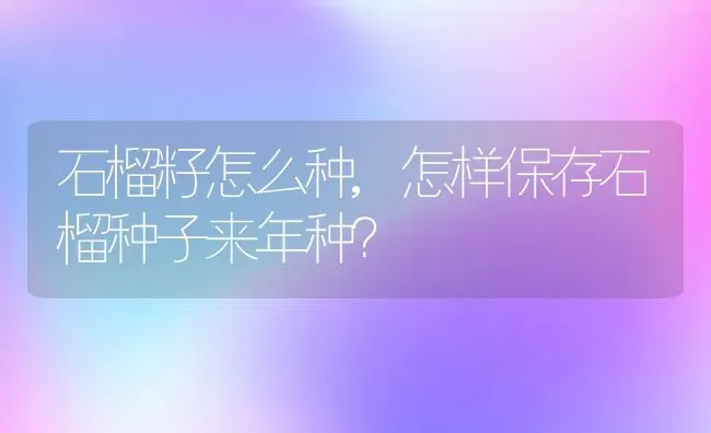 石榴籽怎么种,怎样保存石榴种子来年种？ | 养殖常见问题