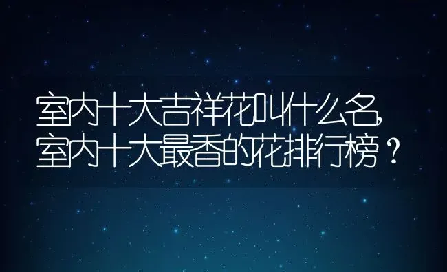 室内十大吉祥花叫什么名,室内十大最香的花排行榜？ | 养殖常见问题