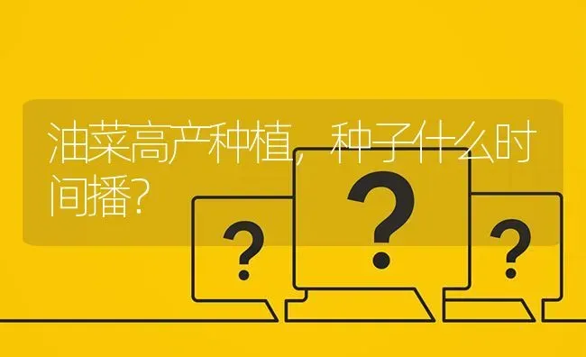 油菜高产种植,种子什么时间播? | 养殖问题解答