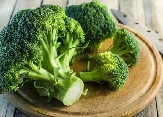 植物常识问题|花椰菜和西兰花的区别