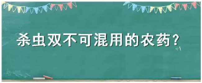 杀虫双不可混用的农药 | 农业常识