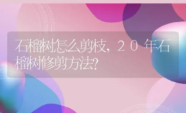 石榴树怎么剪枝,20年石榴树修剪方法？ | 养殖常见问题