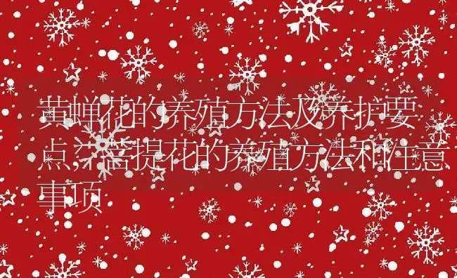 黄蝉花的养殖方法及养护要点,菩提花的养殖方法和注意事项 | 养殖常见问题