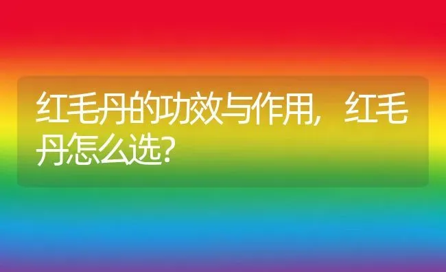 红毛丹的功效与作用,红毛丹怎么选？ | 养殖常见问题