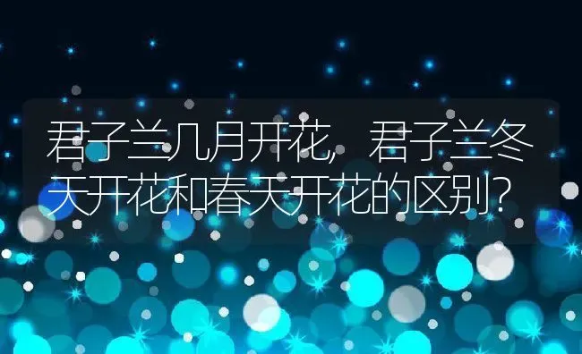 君子兰几月开花,君子兰冬天开花和春天开花的区别？ | 养殖常见问题