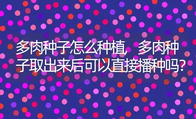 多肉种子怎么种植,多肉种子取出来后可以直接播种吗？ | 养殖常见问题