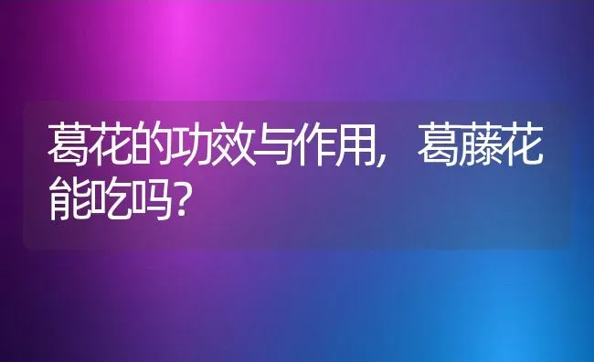 葛花的功效与作用,葛藤花能吃吗？ | 养殖常见问题