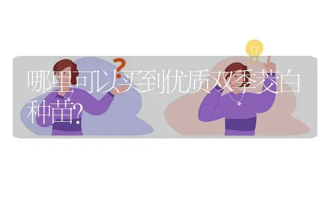 哪里可以买到优质双季茭白种苗? | 养殖问题解答