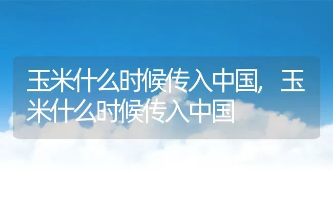 玉米什么时候传入中国,玉米什么时候传入中国 | 养殖常见问题