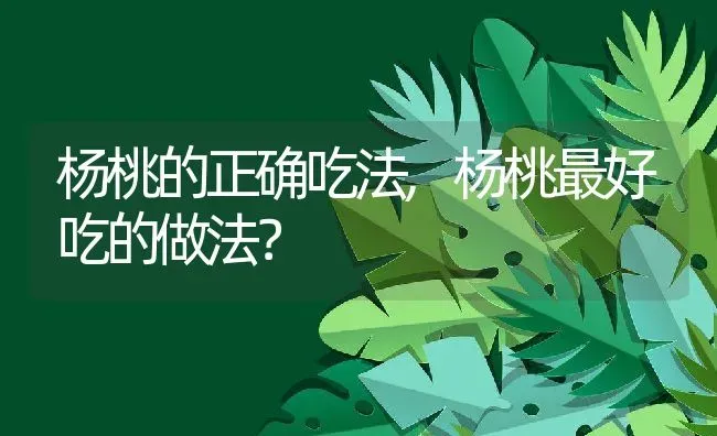 杨桃的正确吃法,杨桃最好吃的做法？ | 养殖常见问题