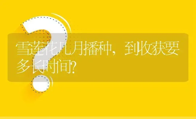 雪莲花几月播种,到收获要多长时间? | 养殖问题解答