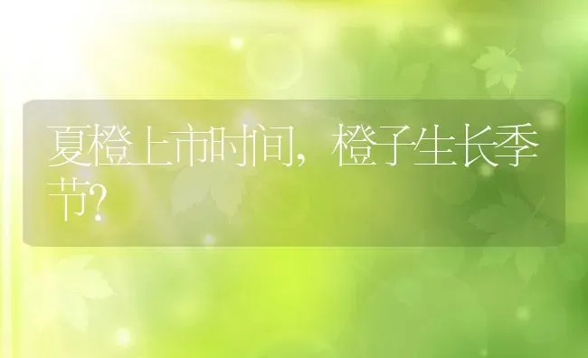夏橙上市时间,橙子生长季节？ | 养殖常见问题