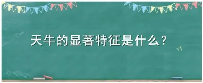 天牛的显著特征是什么 | 农业问题