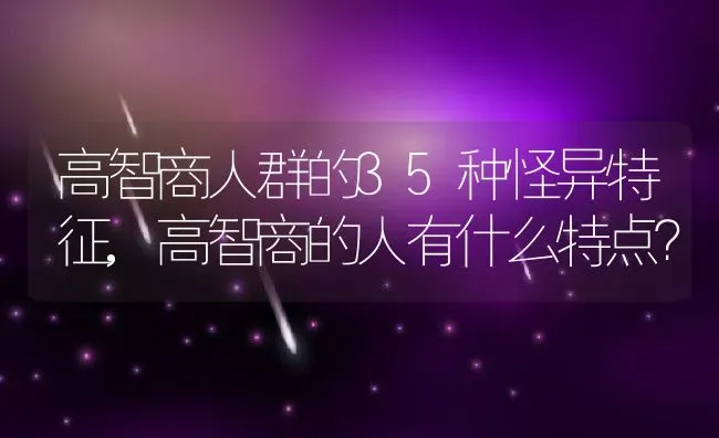 高智商人群的35种怪异特征,高智商的人有什么特点？ | 养殖常见问题