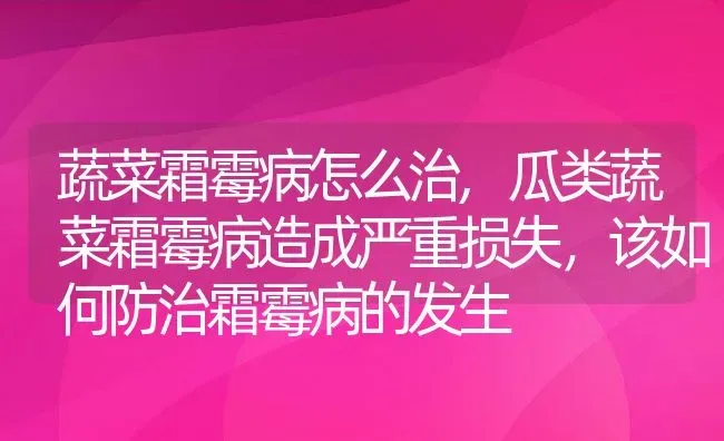 蔬菜霜霉病怎么治,瓜类蔬菜霜霉病造成严重损失，该如何防治霜霉病的发生 | 养殖常见问题