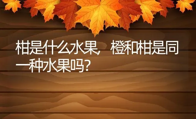 柑是什么水果,橙和柑是同一种水果吗？ | 养殖常见问题