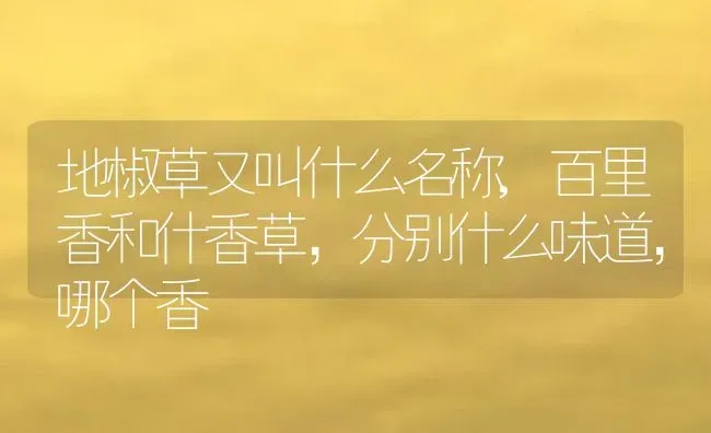 地椒草又叫什么名称,百里香和什香草，分别什么味道，哪个香 | 养殖常见问题