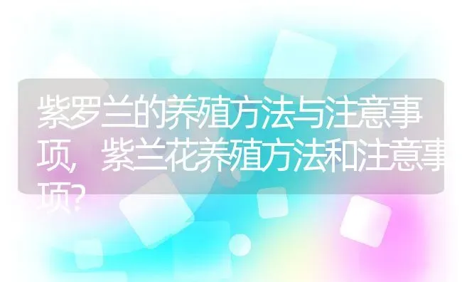 紫罗兰的养殖方法与注意事项,紫兰花养殖方法和注意事项？ | 养殖常见问题