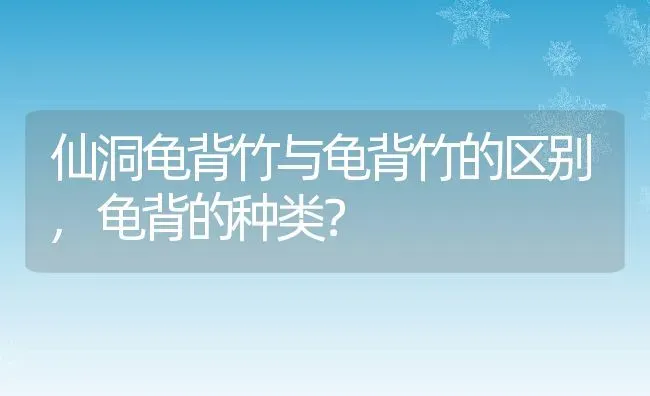 仙洞龟背竹与龟背竹的区别,龟背的种类？ | 养殖常见问题