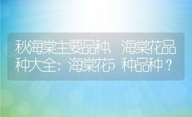 秋海棠主要品种,海棠花品种大全：海棠花5种品种？ | 养殖常见问题