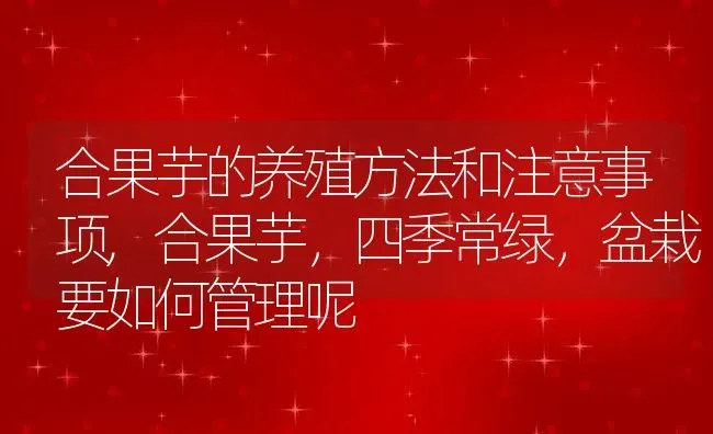 合果芋的养殖方法和注意事项,合果芋，四季常绿，盆栽要如何管理呢 | 养殖常见问题