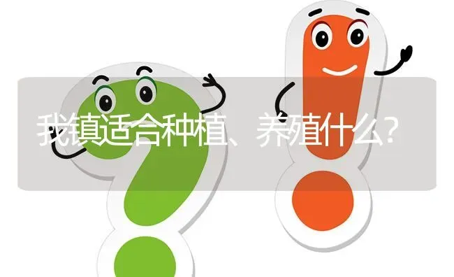 我镇适合种植、养殖什么? | 养殖问题解答