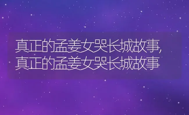 真正的孟姜女哭长城故事,真正的孟姜女哭长城故事 | 养殖常见问题